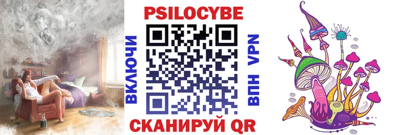 Купить закладки  Кувандык  Псилоцибиновые грибы мухоморы 